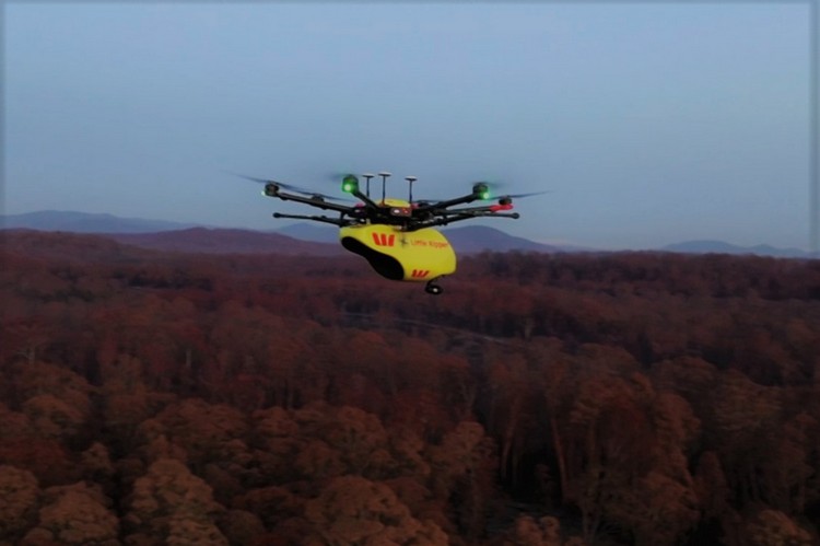 澳大利亚动物救援人员使用无人机与热像仪拯救野生动物
