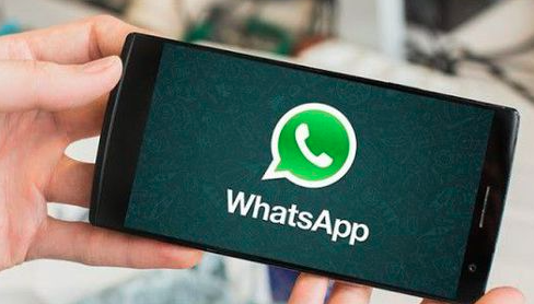 关于WhatsApp的最新信息和在线信息的问题