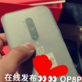 泄漏的OnePlus 8 Pro实时照片显示了四后置摄像头