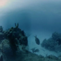 前沿数码资讯：HydrusVR摄像头系统可在水下深处捕获360个8K视频