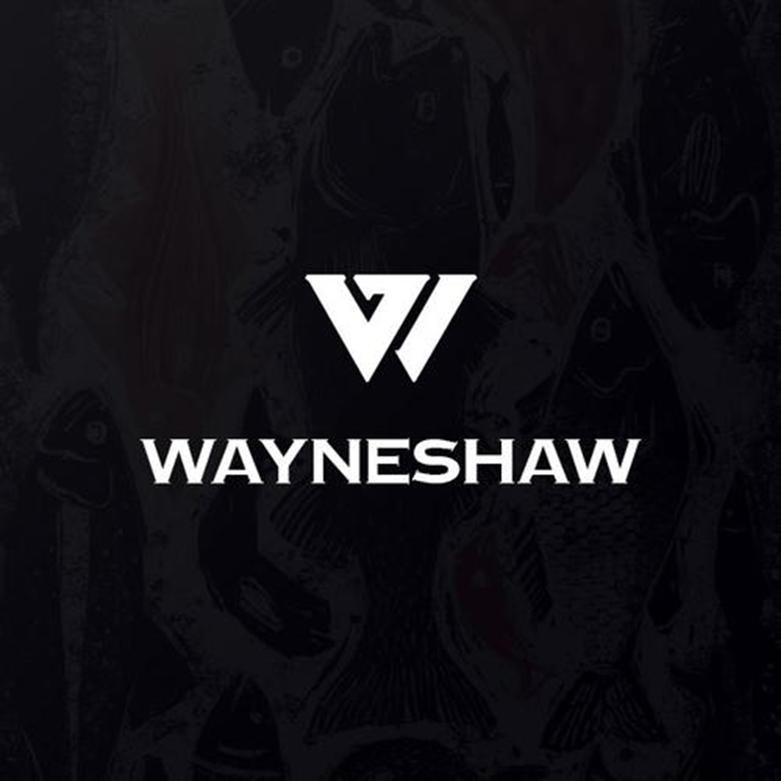 Shaw找到了新的首席执行官却对无线计划守口如瓶