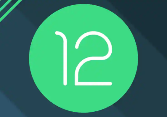 Android 12单手模式意味着即将推出“Pixel 6 XL”吗？