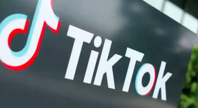 TikTok宣布了新的Bug搜寻计划