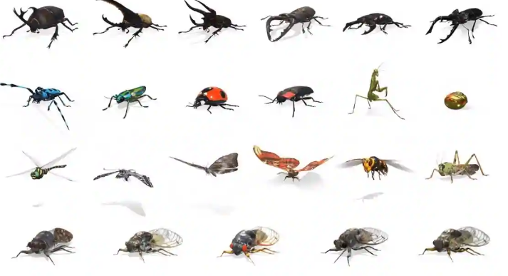 Google在其AR搜索结果中添加了23种昆虫