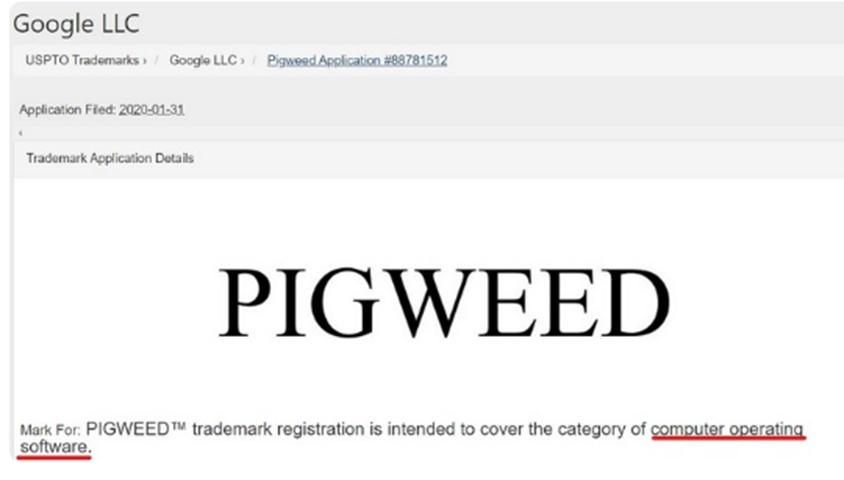 ​Google正在制作一个称为Pigweed的新操作系统