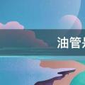 油管是什么意思啊