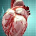 新发现可以逆转由心脏病发作引起的组织损伤