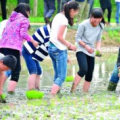 教育新闻：湖南省保靖县葫芦中学学生展示手工插秧