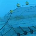 科学新闻：海洋底拖网捕鱼正在运行着地球上最大的碳汇