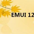 EMUI 12 适用于全球Beta 测试人员