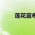 莲花宣布了四款新电动车型的计划