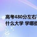 高考480分左右可以上什么大学理科（高考480分理科能上什么大学 学哪些专业有前景）