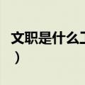 文职是什么工作待遇怎么样（文职是什么工作）