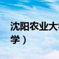 沈阳农业大学2021录取分数线（沈阳农业大学）