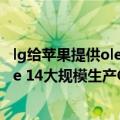 lg给苹果提供oled屏幕（三星和LG本月底就将开始为iPhone 14大规模生产OLED面板）