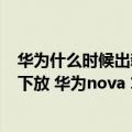 华为什么时候出新手机nova10系列（P系列RYYB大底主摄下放 华为nova 10曝光：影像质变）