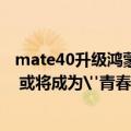 mate40升级鸿蒙2.0.0.165怎么样（华为又一鸿蒙新机入网 或将成为