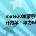 mate20鸿蒙系统升级后体验（今日最新更新 鸿蒙3.0只是开胃菜！华为Mate50影像能力大升级）