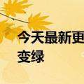 今天最新更新2800元没事手机1翻车：屏幕变绿