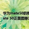 华为mate50的概念图（今日最新更新 只有两种机型 华为Mate 50正面图曝光）