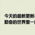 今天的最新更新马斯克说他非常尊重中国人：在一个聪明又勤奋的世界里一股不可忽视的力量