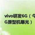 vivo研发6G（今日最新更新 vivo发布6G技术白皮书 四大6G原型机曝光）