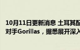 10月11日更新消息 土耳其配送独角兽Getir拟收购德国竞争对手Gorillas，据悉展开深入谈判