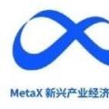 MetaX新兴产业经济模式生态系统获国家标准化管理委员会备案