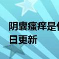 阴囊瘙痒是什么原因（阴囊）2023年05月25日更新