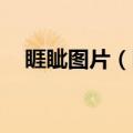 睚眦图片（睚眦）2023年05月25日更新