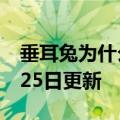 垂耳兔为什么不能养（垂耳兔）2023年05月25日更新