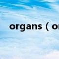organs（organ）2023年05月25日更新