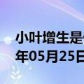 小叶增生是什么病严重吗（小叶增生）2023年05月25日更新