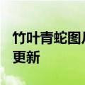 竹叶青蛇图片（竹叶青蛇）2023年05月25日更新