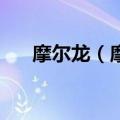 摩尔龙（摩尔）2023年05月25日更新