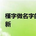 槿字做名字的寓意（槿）2023年05月25日更新