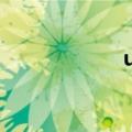 u盘数据可以恢复吗