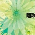 哪种ip地址切换工具更好