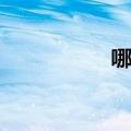 哪个选项卡是ppt背景