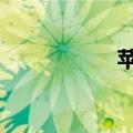 苹果13如何隐藏软件