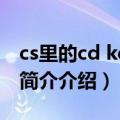 cs里的cd key是什么（cs里的CDKEY是什么简介介绍）