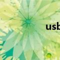 usb启动是什么意思联想