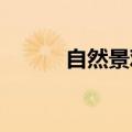 自然景观摄影奖对数字处理说不