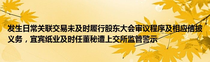 发生日常关联交易未及时履行股东大会审议程序及相应信披义务，宜宾纸业及时任董秘遭上交所监管警示