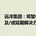 远洋集团：将暂停所有境外债务项下的付款，直至整体重组及/或延期解决方案获得实施