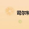司尔特：副总经理文继兵辞职