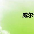 威尔泰：副总经理殷骏辞职