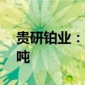 贵研铂业：目前铂族金属的年回收规模约10吨