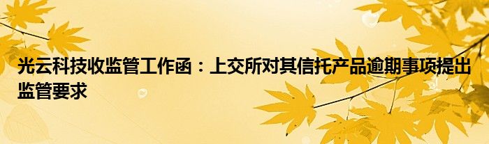 光云科技收监管工作函：上交所对其信托产品逾期事项提出监管要求