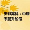 安彩高科：中硼硅玻管一期项目顺利点火投产，现处于良品率爬升阶段